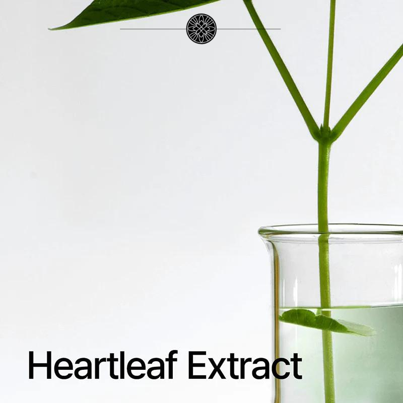 ANUA™ | Heartleaf Pore Control Oil by Rask Oslo